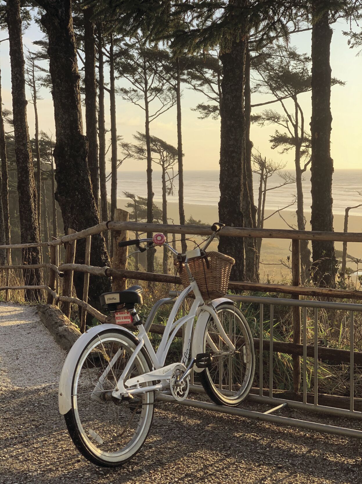 Seabrook bike winter credit Sothea Mah.jpg